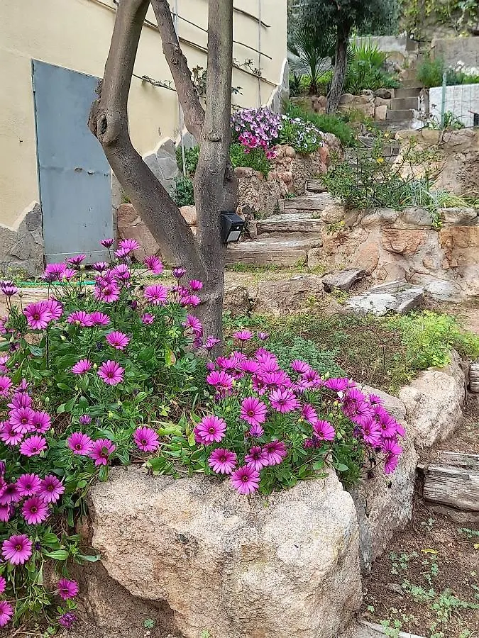 Invit Arti B&B كابوتيرا